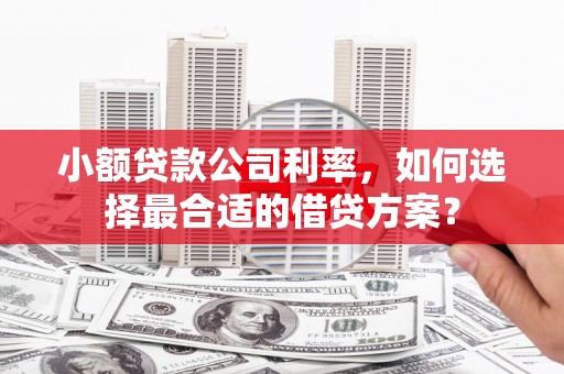 寿阳小额贷款公司利率，如何选择最合适的借贷方案？