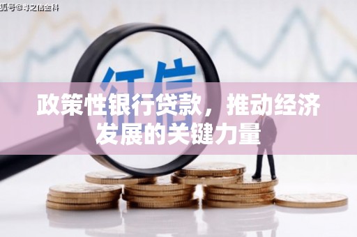 寿阳政策性银行贷款，推动经济发展的关键力量