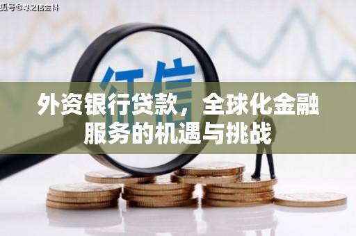 寿阳外资银行贷款，全球化金融服务的机遇与挑战