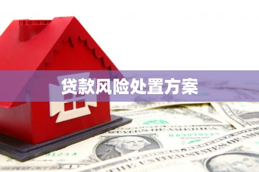 寿阳贷款风险处置方案